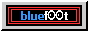 bluef00t button