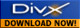 divx logo2