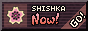 shishka now button